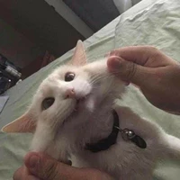 -lyinnlovestagename-