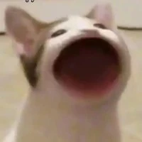 -Hấu .H-