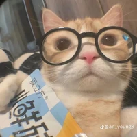 -iya_no-