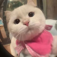 -Mây-
