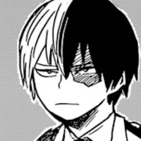 Todoroki Shoto