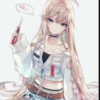 Y/N