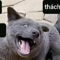 Tác giả ghiền Jaki♡