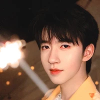 Hạ Tuấn Lâm ( anh )