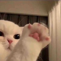 Tác giả cute nè 