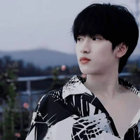 Nghiêm Hạo Tường