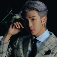 Kim NamJoon ( Hắn )