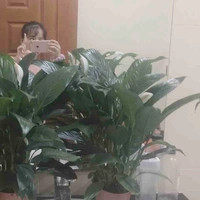 1 chiếc tác giả cute 😍