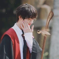 Đinh Trình Hâm