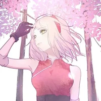 Haruno Sakura