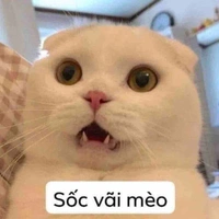 Tác giả bảnh troaiii