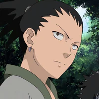 Shikamaru Nara