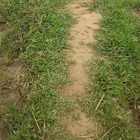 t6