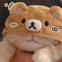ngày 8