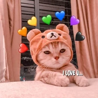 ngày 10