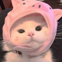 ngày 28