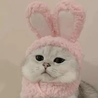 Tác giả xấu girl🙄💗