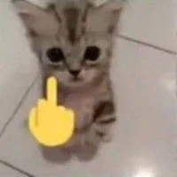🐱