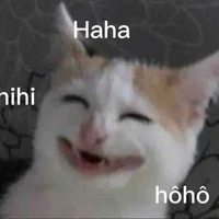 tác giả