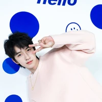 Hạ Tuấn Lâm