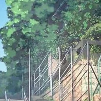 hội chị đại hào quang