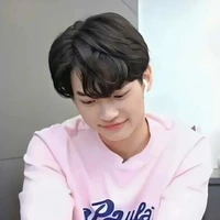win metawin