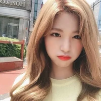hàn hoa mai