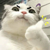 Tác giả thiểu năng