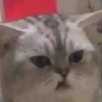 Má Năm