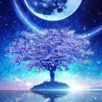 JungMe ( tác giả )