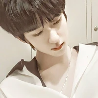 Hạ Tuấn Lâm