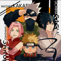 team 7