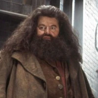 Hagrid