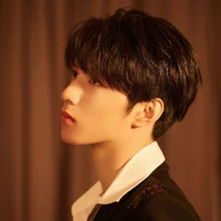 Lưu Diệu Văn 🐺