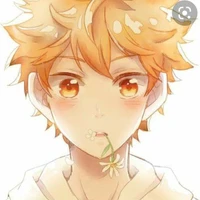 Hinata shoyo