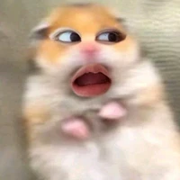 Mín(tác giẻ thân thịn) 🐥