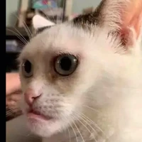 nhân vật phụ (trừ những ai cần trừ)