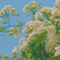 chiếc tác giả bận dí deadline:v