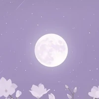 NVP Tổng Hợp _ All _ Nữ