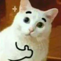 tao nhìu vai lắm đừng hỏi tên tao ok 👌