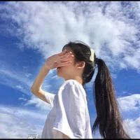 Triệu Diên Hồng