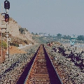 Các đối tác