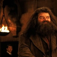 Bác Rubeus Hagrid