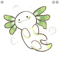 hệ thống cute