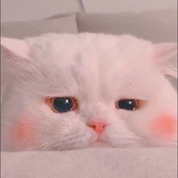 Mẹ y/n
