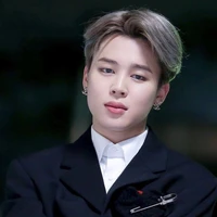 Park Jimin (Appa em)