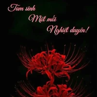 tác giả
