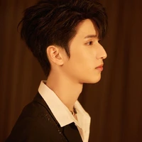 Nghiêm Hạo Tường