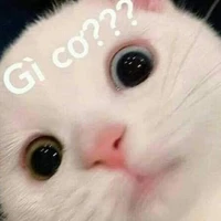 con tác giả