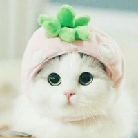 tiểu cửu*hệ thống 500*